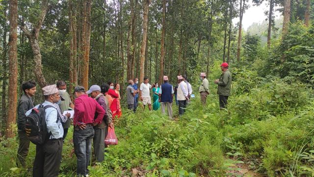 निजी जग्गाको वनबाट आर्थिक लाभ लिन पाउनुपर्ने माग