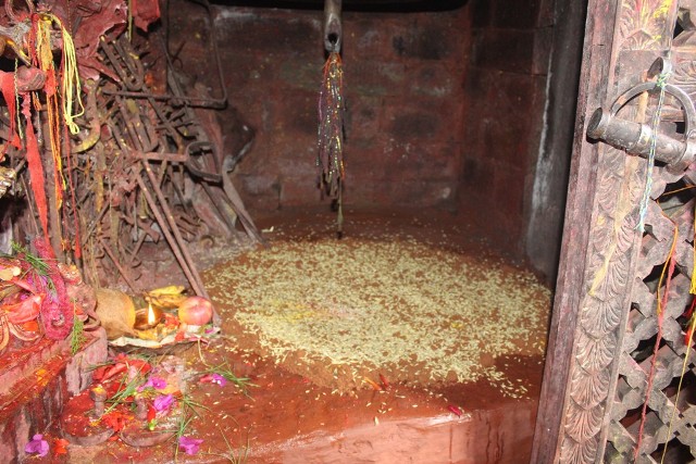 गोरखा दरवारमा घटस्थापना गर्दै राखियो जमरा
