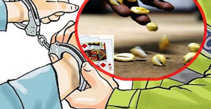 कुखुराको खोरमा कौडा खेलिरहेका १२ जना पक्राउ