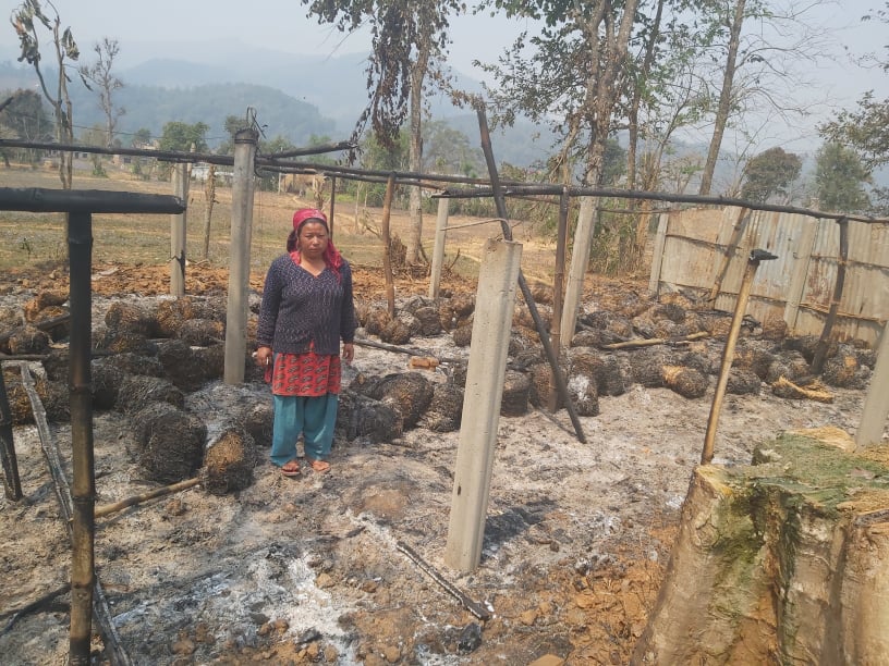 च्याउखेतीमा आगलागी, करिव १५ लाखको क्षति