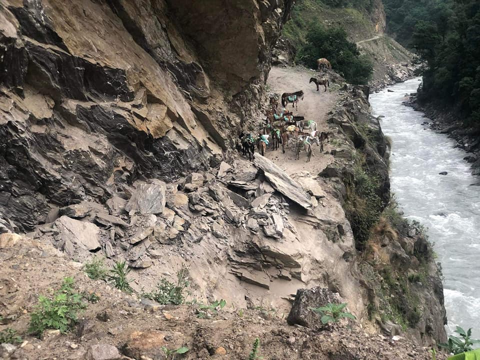 मनास्लु पदमार्गमा पहिरो