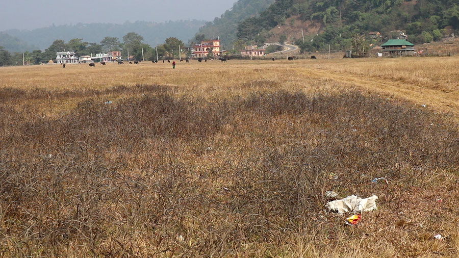 बहुवर्षिय योजना अन्तरगत विमानस्थलको सुदृढिकरण गरिने