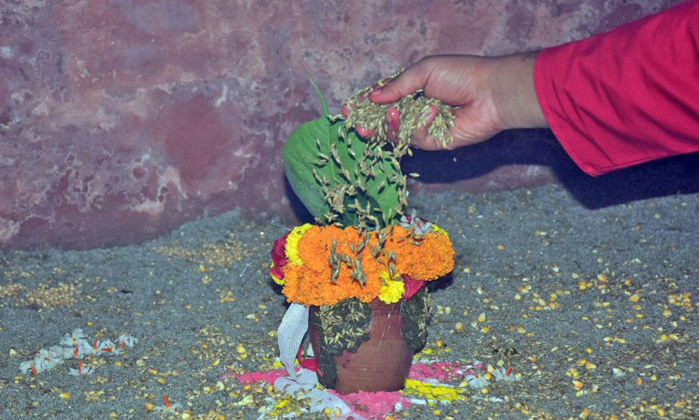 आजदेखि बडादसैं सुरु