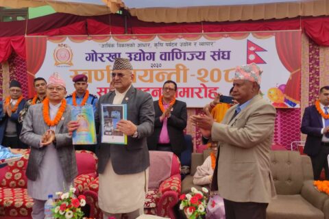 ‘गण्डकी प्रदेशमा राजनितिक सुझवुझ मिलाउन नसके मध्यावदी हुन सक्छ’