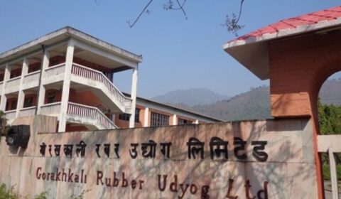 ‘गोरखकाली रबर उद्योग कहिले सञ्चालन हुन्छ?’