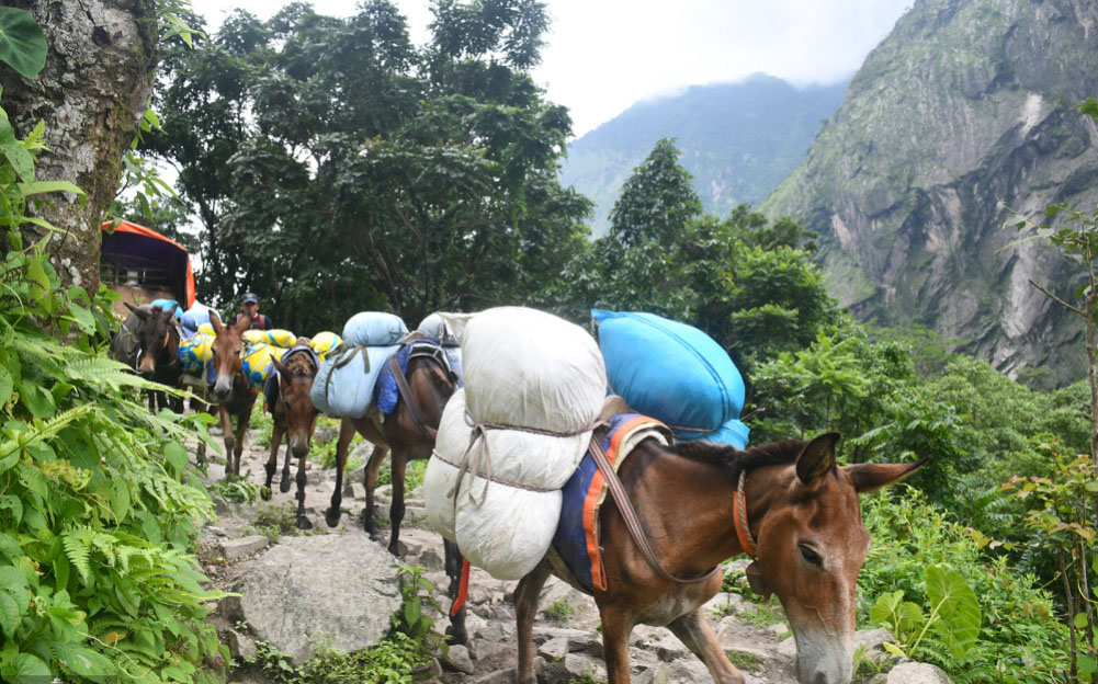 उत्तरी नाका खोल्न पहल