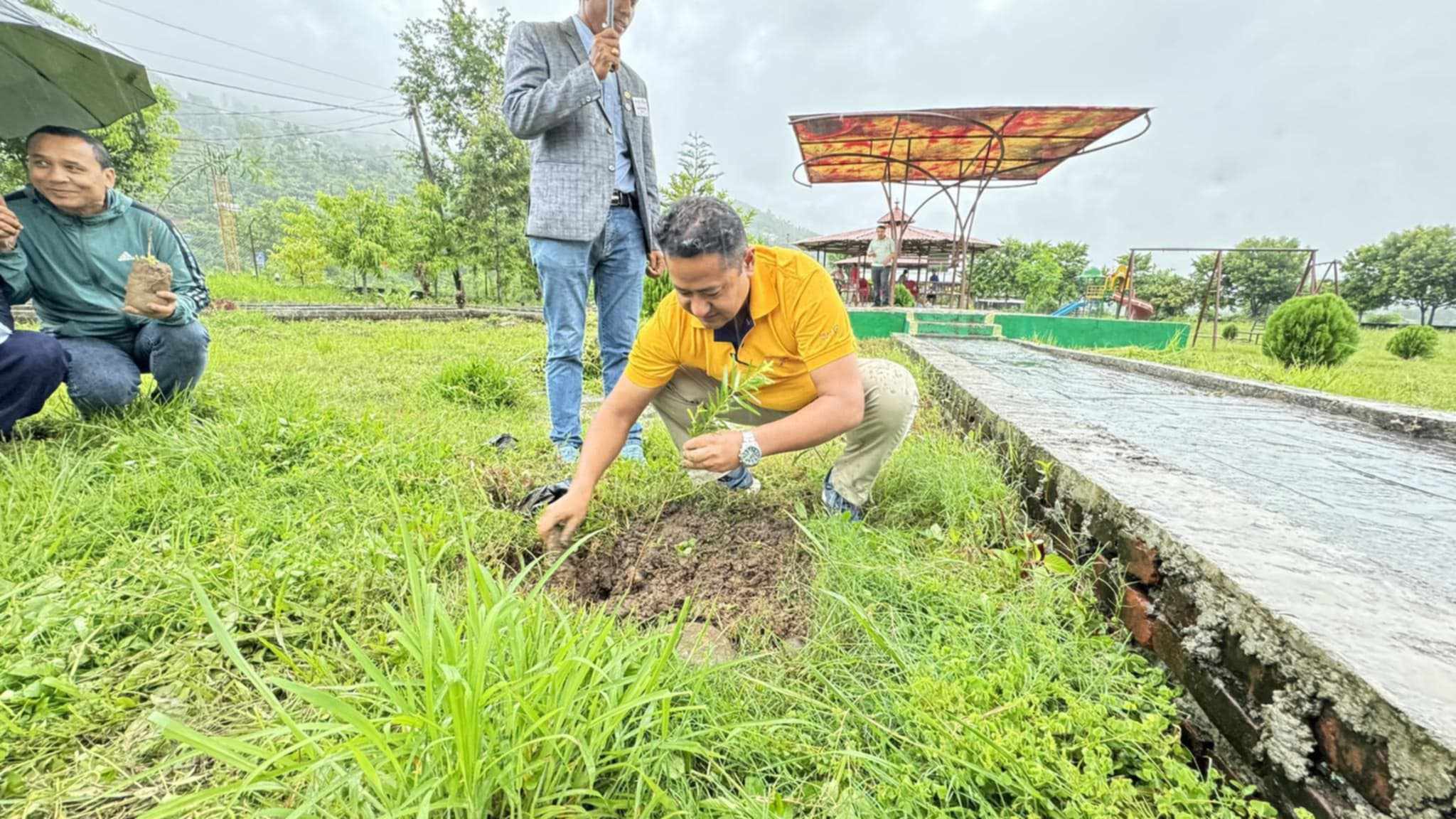 महादेवटारी क्षेत्रमा वृक्षारोपण