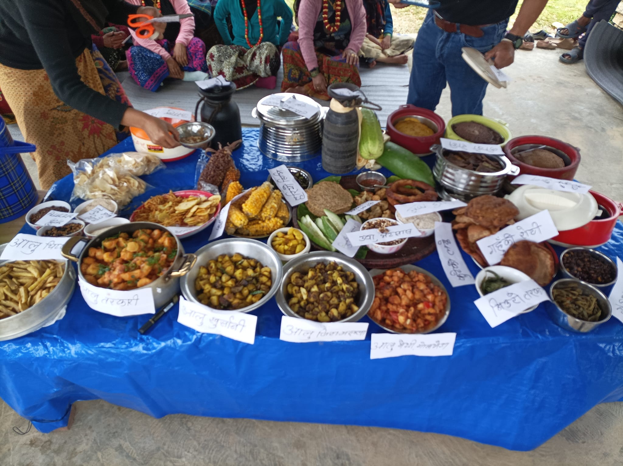 आर्गानिक खानाका परिकार प्रदर्शन