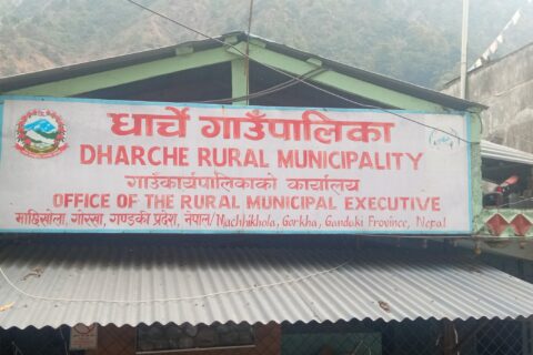 धार्चे गाउँपालिकाले मासुजन्य उत्पादनको आधारमा अनुदान दिने