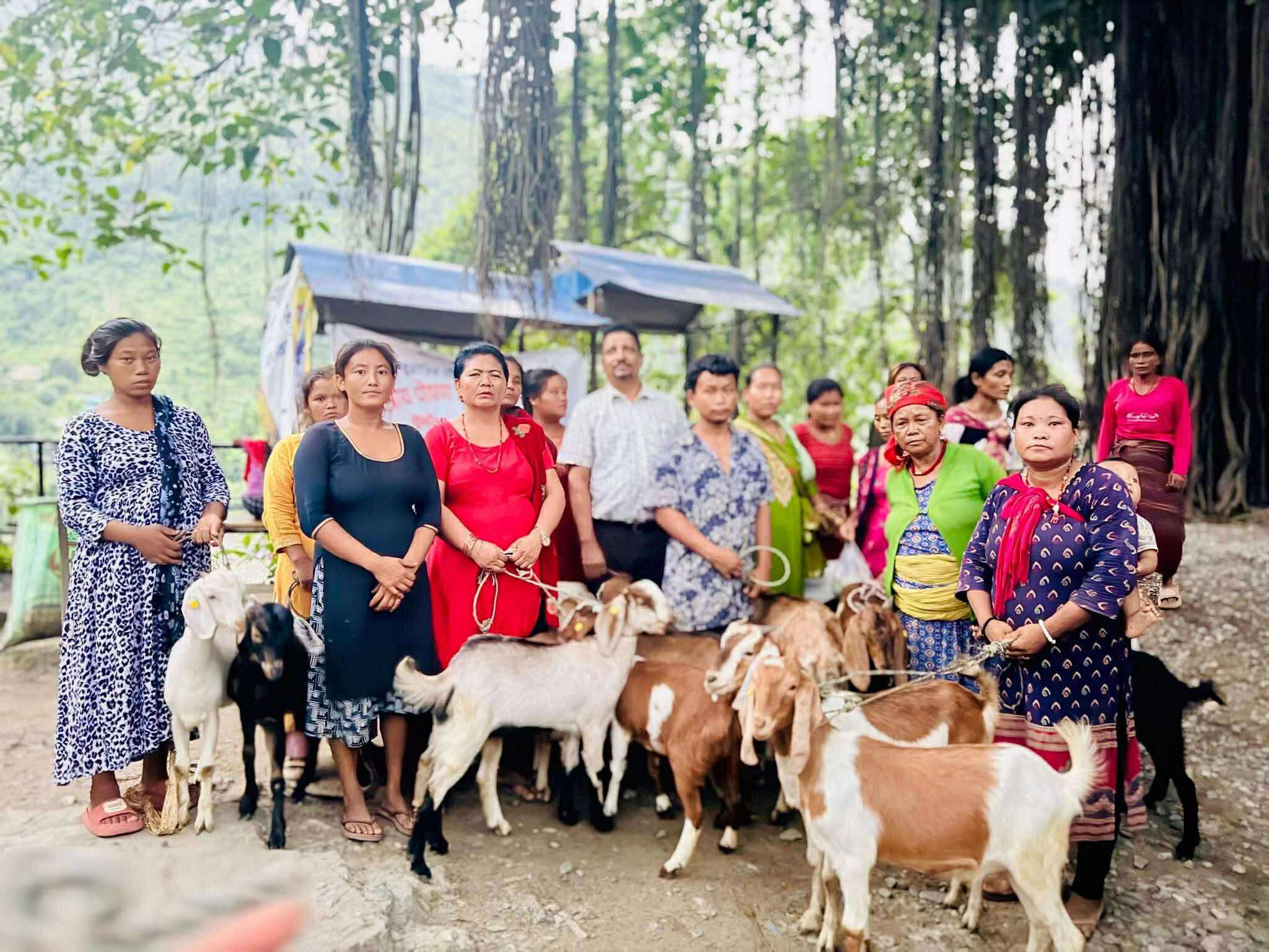 महिला समूहका २५ सदस्यलाई बाख्रा वितरण