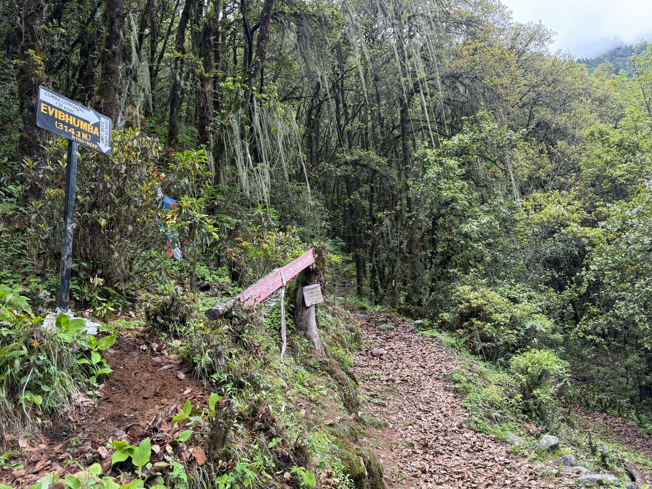 मनास्लु क्षेत्रमा मार्किङ पोल र साइनपोष्ट थपियो